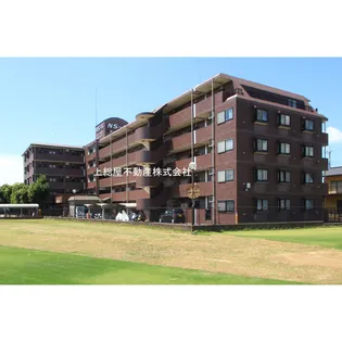 グランドパレスNS-5【1階】の外観