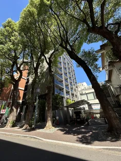 レーベン上通ザ レジデンスの画像