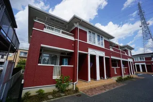 シャルマンBの画像