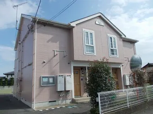 チェリーブロッサムCの画像