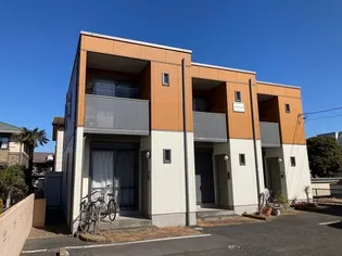 シャコンヌの画像