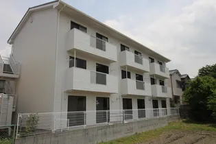 モアクレストノアンの画像