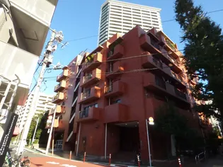 シャンボール白金の画像