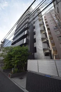 Y&ELFの画像