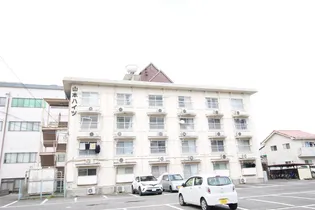 徳島県徳島市福島1【マンション】の外観