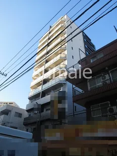 ESTRUTH SHINKOIWAの画像