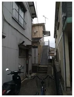 シュノンソウの画像