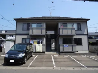 ルピナスYの画像