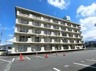 リバーサイドハイツ丸山Aの画像