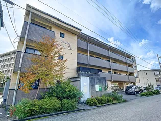 ボルグムーレヨンの画像