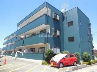 ソルジェンテ金剛の画像