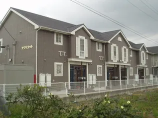 アプリコットの外観