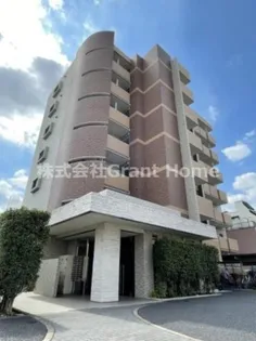 グランディールタチバネの画像