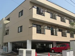 ピュア桜の画像