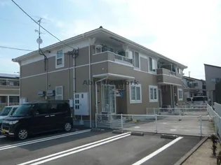 メリーグレースの画像