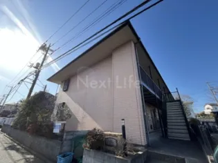 アムールクララの画像