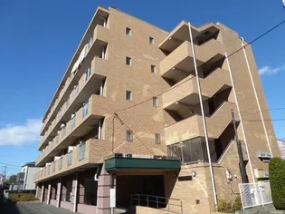 ペルシャモン上水の画像