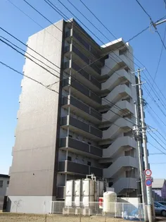 アリオーソフラーゼの画像