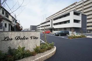 LESDOLCEVITAの画像