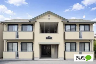 エバーグリーンBの画像