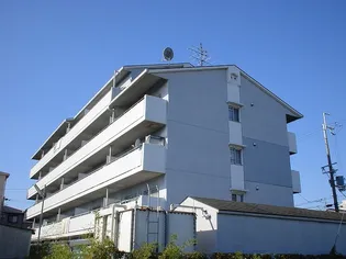 エクセルグリーンの画像