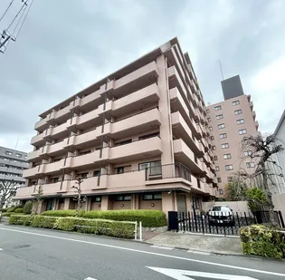 パシフィック小豆沢の画像