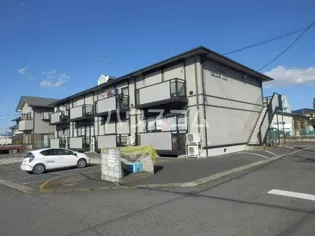ダンデライオンの画像