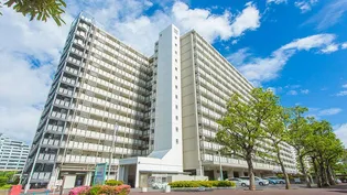南砂住宅8号棟の画像
