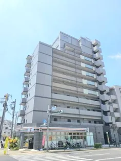 SASONの画像