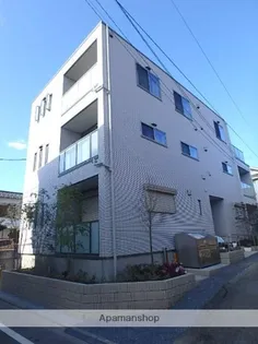 GATOS CASASの画像