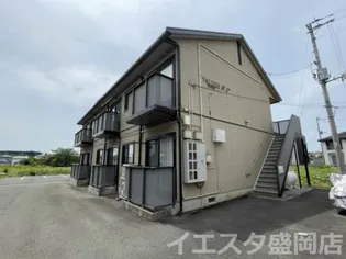 バリュージュF Tの画像