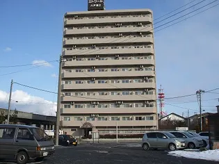 エトワール第2の画像
