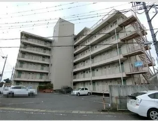 MSグラティアの画像