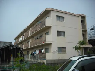 ハイツ泊【3階】の外観