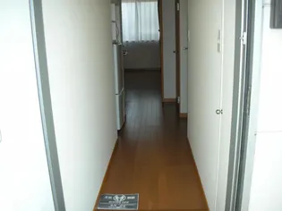 レオパレスピュア【2階】の玄関