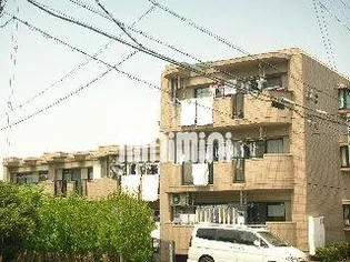 マンションヒルズ【1階】の外観