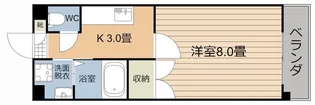 ヴィレッジ星【4階】の間取り