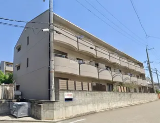 MATSUMOMENT桜井の画像