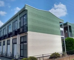 シャルムハマナカの画像