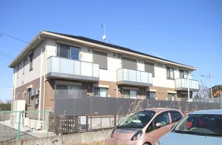 コクシネルの画像