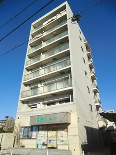 ローマン ブリッジの画像