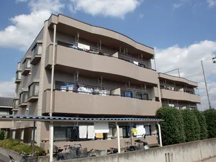 モア クレストの画像