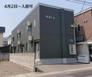 HARUの画像