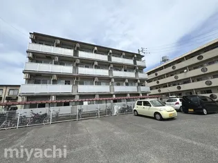 カサコモダ6の画像