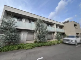 ステラ リヴァの画像