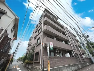 コモド ヴィータの画像