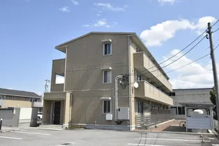 フェリスさくらの画像