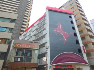 ドムスアルバの画像