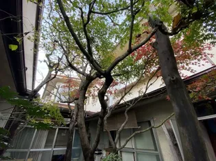 アライアネックス【2階】の外観