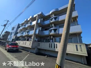 徳島県徳島市川内町榎瀬【マンション】の外観